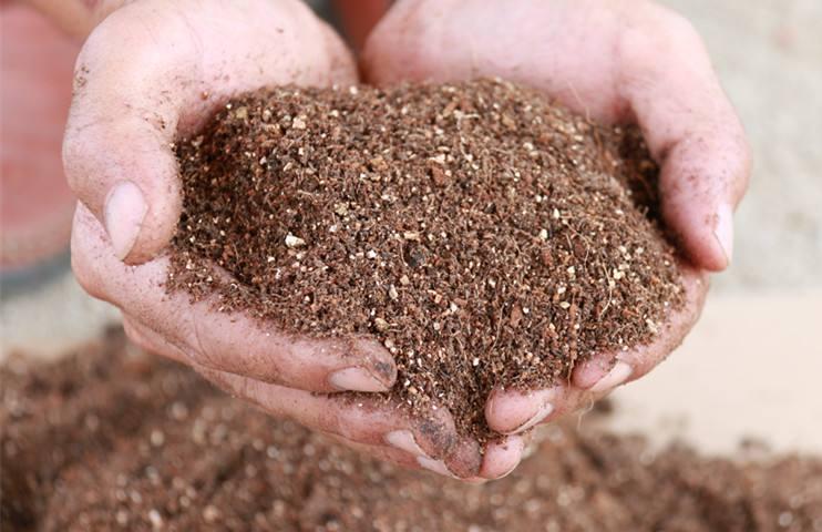 有機(jī)肥銷售